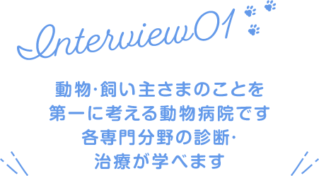 動物・飼い主さまのことを第一に考える動物病院です各専門分野の診断・治療が学べます
