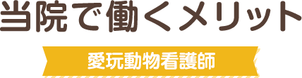 当院で働くメリット（動物看護師編）